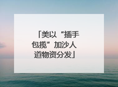 美以“插手包揽”加沙人道物资分发