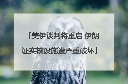 美伊谈判将重启 伊朗证实核设施遭严重破坏