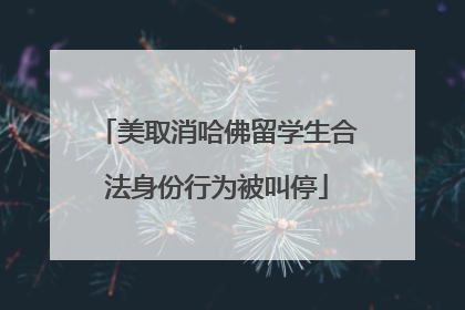 美取消哈佛留学生合法身份行为被叫停