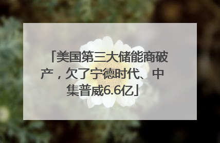 美国第三大储能商破产，欠了宁德时代、中集普威6.6亿