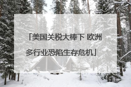 美国关税大棒下 欧洲多行业恐陷生存危机