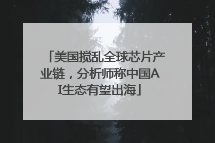 美国搅乱全球芯片产业链，分析师称中国AI生态有望出海