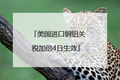 美国进口钢铝关税加倍4日生效