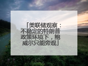 美联储观察：不稳定的特朗普政策环境下，鲍威尔只能旁观