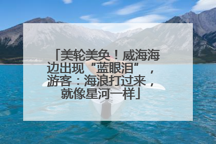 美轮美奂！威海海边出现“蓝眼泪”，游客：海浪打过来，就像星河一样