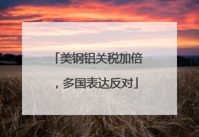 美钢铝关税加倍，多国表达反对