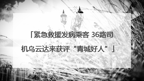 紧急救援发病乘客 36路司机乌云达来获评“青城好人”