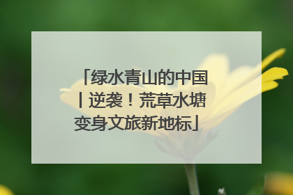 绿水青山的中国丨逆袭！荒草水塘变身文旅新地标