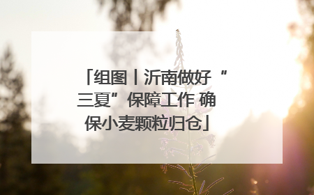 组图丨沂南做好“三夏”保障工作 确保小麦颗粒归仓