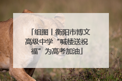 组图丨衡阳市博文高级中学“喊楼送祝福”为高考加油