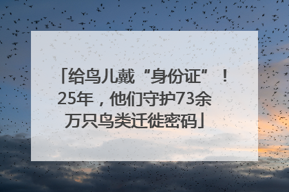 给鸟儿戴“身份证”！25年，他们守护73余万只鸟类迁徙密码