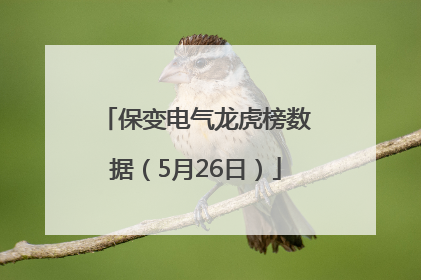 保变电气龙虎榜数据（5月26日）