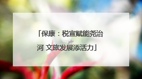 保康：税宣赋能尧治河 文旅发展添活力