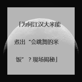 为何江汉大米能煮出“会跳舞的米饭”？现场揭秘