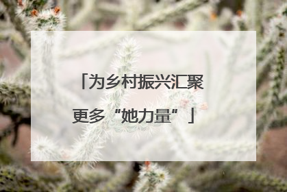 为乡村振兴汇聚更多“她力量”