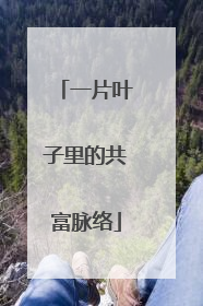 一片叶子里的共富脉络