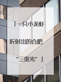 一只小龙虾折射出的合肥“三重光”
