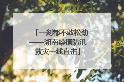 一刻都不敢松劲——湖南桑植防汛救灾一线直击