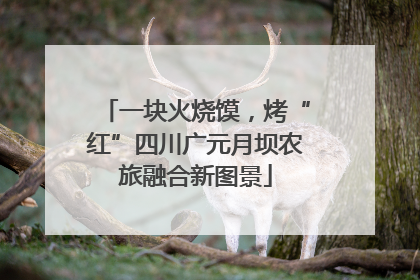 一块火烧馍，烤“红”四川广元月坝农旅融合新图景