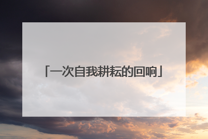 一次自我耕耘的回响