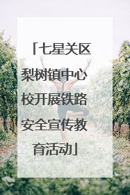 七星关区梨树镇中心校开展铁路安全宣传教育活动