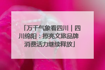 万千气象看四川｜四川绵阳：擦亮文旅品牌 消费活力继续释放