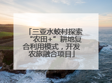 三亚水蛟村探索“农田+”耕地复合利用模式，开发农旅融合项目