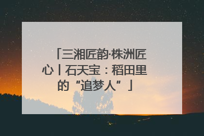 三湘匠韵·株洲匠心丨石天宝：稻田里的“追梦人”