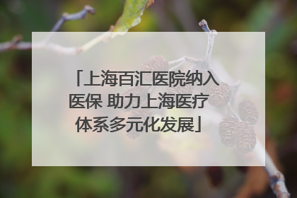 上海百汇医院纳入医保 助力上海医疗体系多元化发展