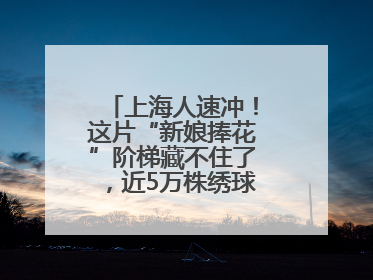 上海人速冲！这片“新娘捧花”阶梯藏不住了，近5万株绣球花如梦似幻
