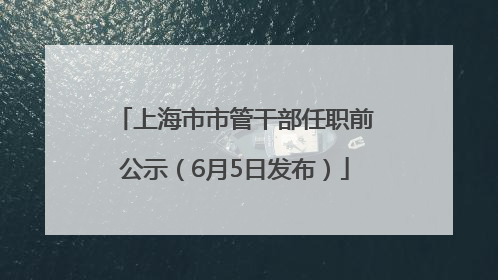 上海市市管干部任职前公示（6月5日发布）