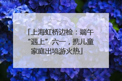 上海虹桥边检：端午“遇上”六一，携儿童家庭出境游火热