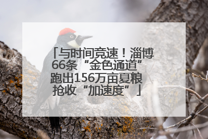 与时间竞速！淄博66条“金色通道”跑出156万亩夏粮抢收“加速度”