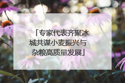 专家代表齐聚冰城共谋小麦振兴与杂粮高质量发展