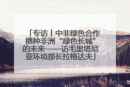 专访丨中非绿色合作播种非洲“绿色长城”的未来——访毛里塔尼亚环境部长拉格达夫
