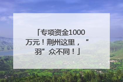 专项资金1000万元！荆州这里，“羽”众不同！