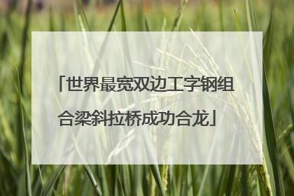 世界最宽双边工字钢组合梁斜拉桥成功合龙