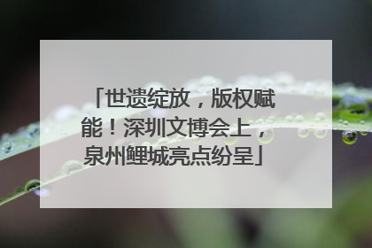 世遗绽放，版权赋能！深圳文博会上，泉州鲤城亮点纷呈