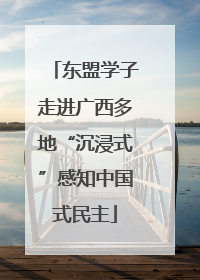 东盟学子走进广西多地“沉浸式”感知中国式民主
