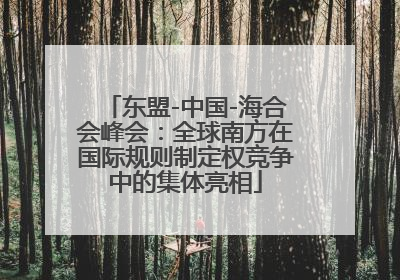 东盟-中国-海合会峰会：全球南方在国际规则制定权竞争中的集体亮相
