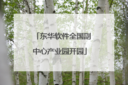 东华软件全国副中心产业园开园