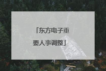 东方电子重要人事调整