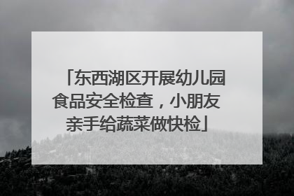 东西湖区开展幼儿园食品安全检查，小朋友亲手给蔬菜做快检