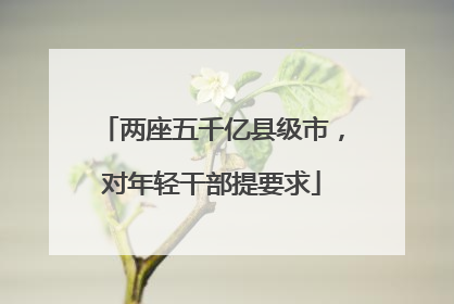 两座五千亿县级市，对年轻干部提要求
