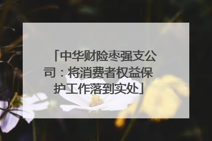 中华财险枣强支公司：将消费者权益保护工作落到实处