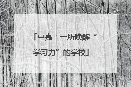 中嘉：一所唤醒“学习力”的学校