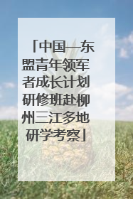 中国—东盟青年领军者成长计划研修班赴柳州三江多地研学考察