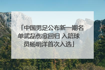 中国男足公布新一期名单武磊伤愈回归 入籍球员杨明洋首次入选