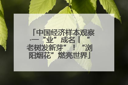中国经济样本观察·一“业”成名丨“老树发新芽”！“浏阳烟花”燃亮世界