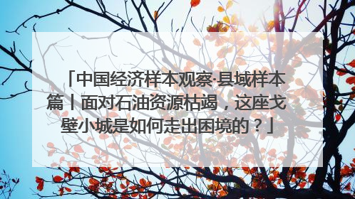 中国经济样本观察·县域样本篇丨面对石油资源枯竭，这座戈壁小城是如何走出困境的？